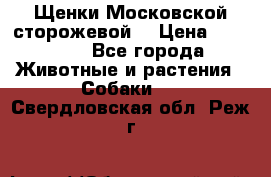 Щенки Московской сторожевой  › Цена ­ 25 000 - Все города Животные и растения » Собаки   . Свердловская обл.,Реж г.